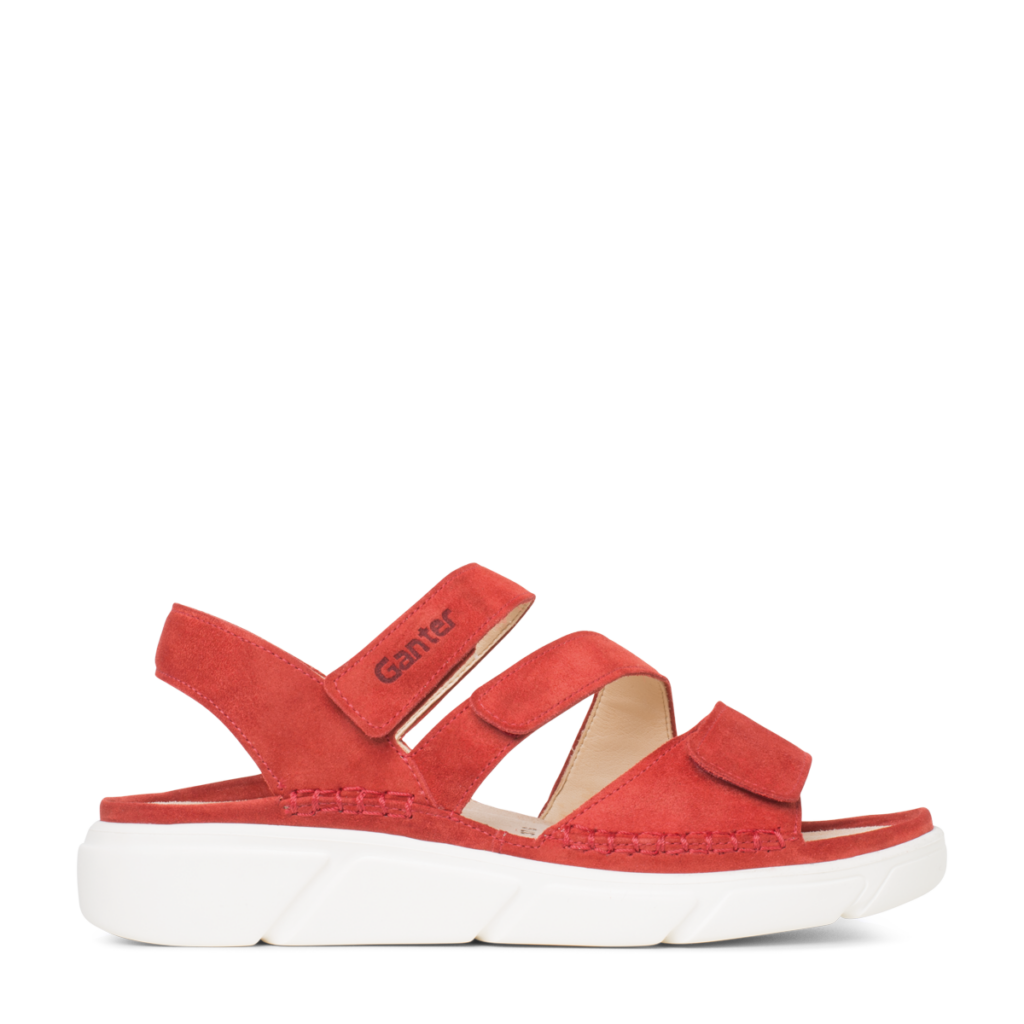 Ganter