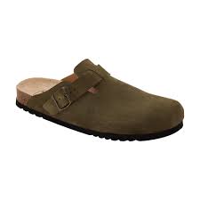 Scholl