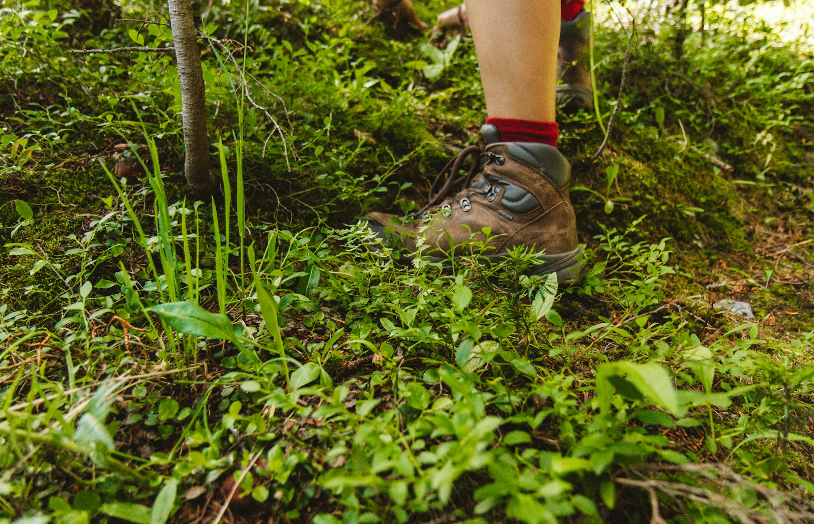 Wandelschoenen